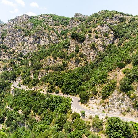 Апартаменты Limoneto Di Ercole Майори Экстерьер фото