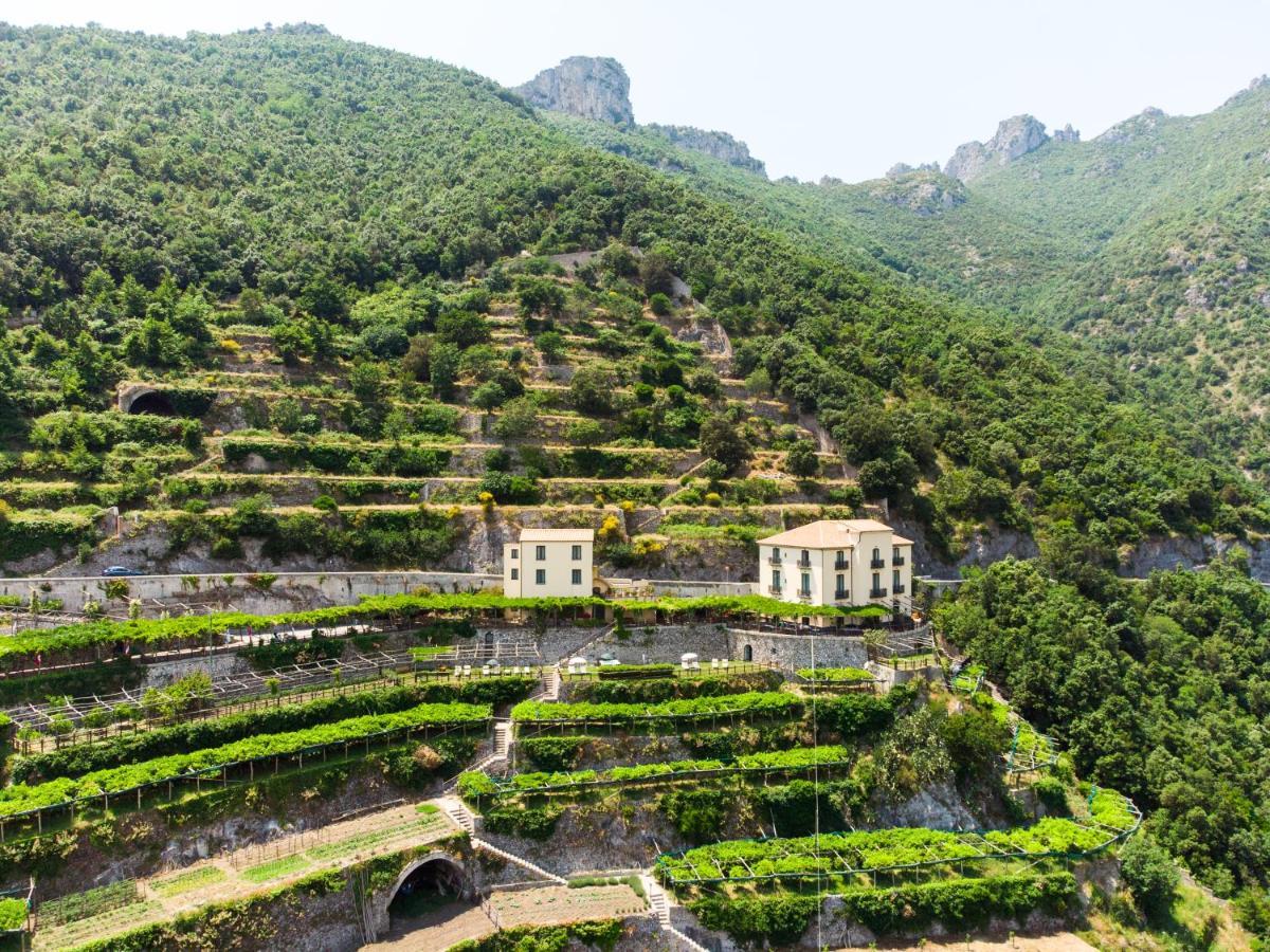Апартаменты Limoneto Di Ercole Майори Экстерьер фото